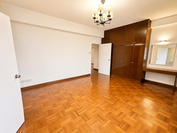 The Cairnhill (D9), Condominium #578507891